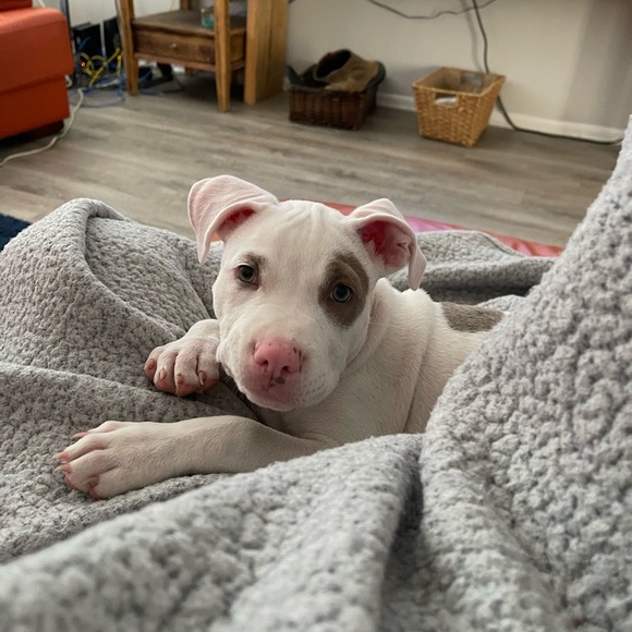 Meet your Posher, Phaedra - Picture 13 of 13